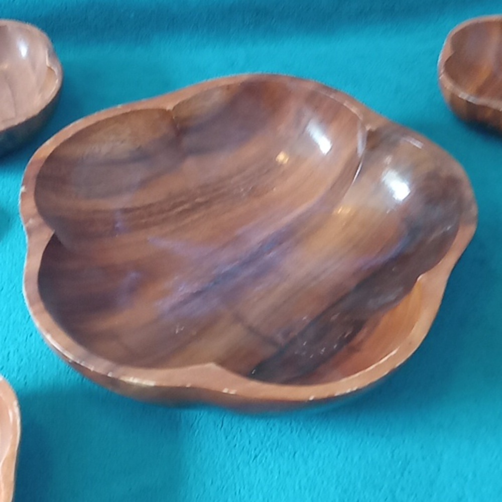 Elegant Wooden Dinnerware Bowl